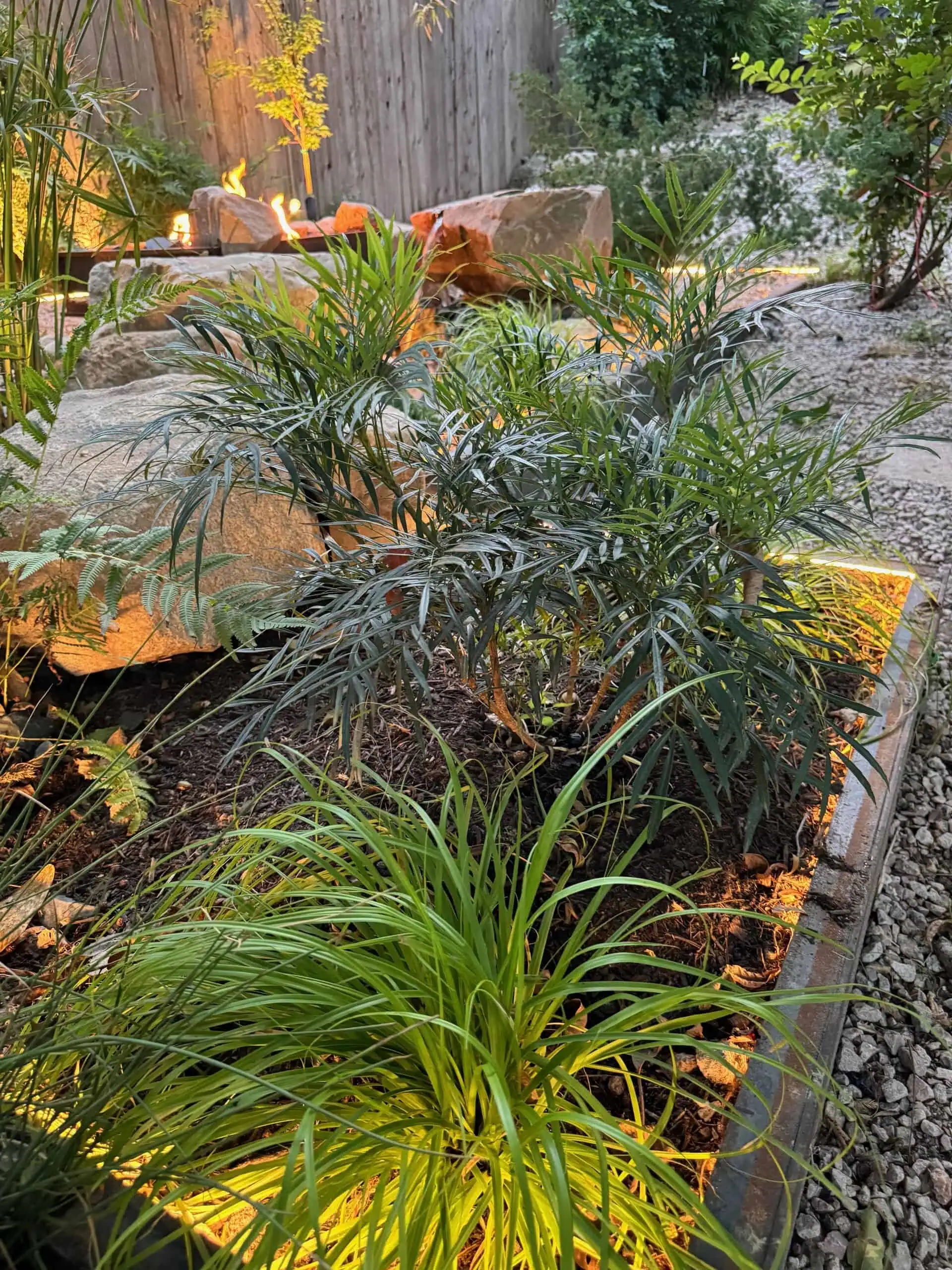 Hill country estate landscaping Austin