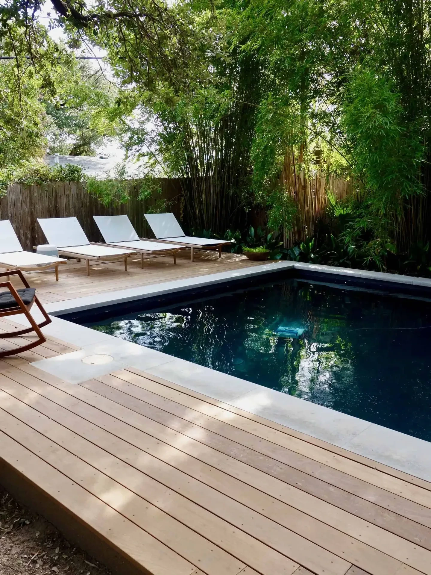 Luxury xeriscape and concrete patio design Rollingwood TX