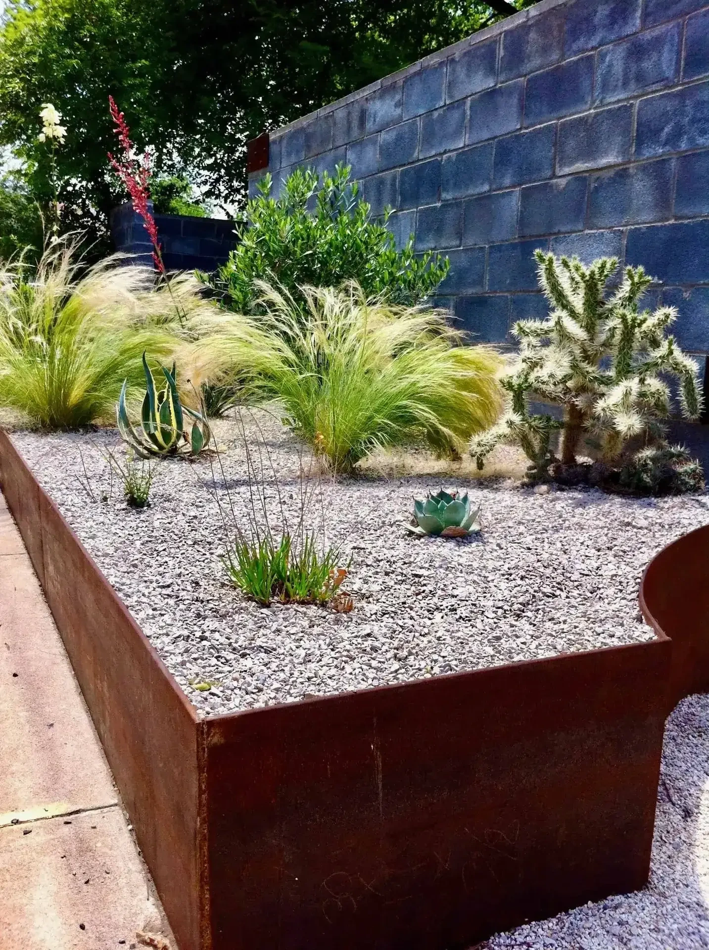 Mild steel planter with xeriscape plantings Austin TX