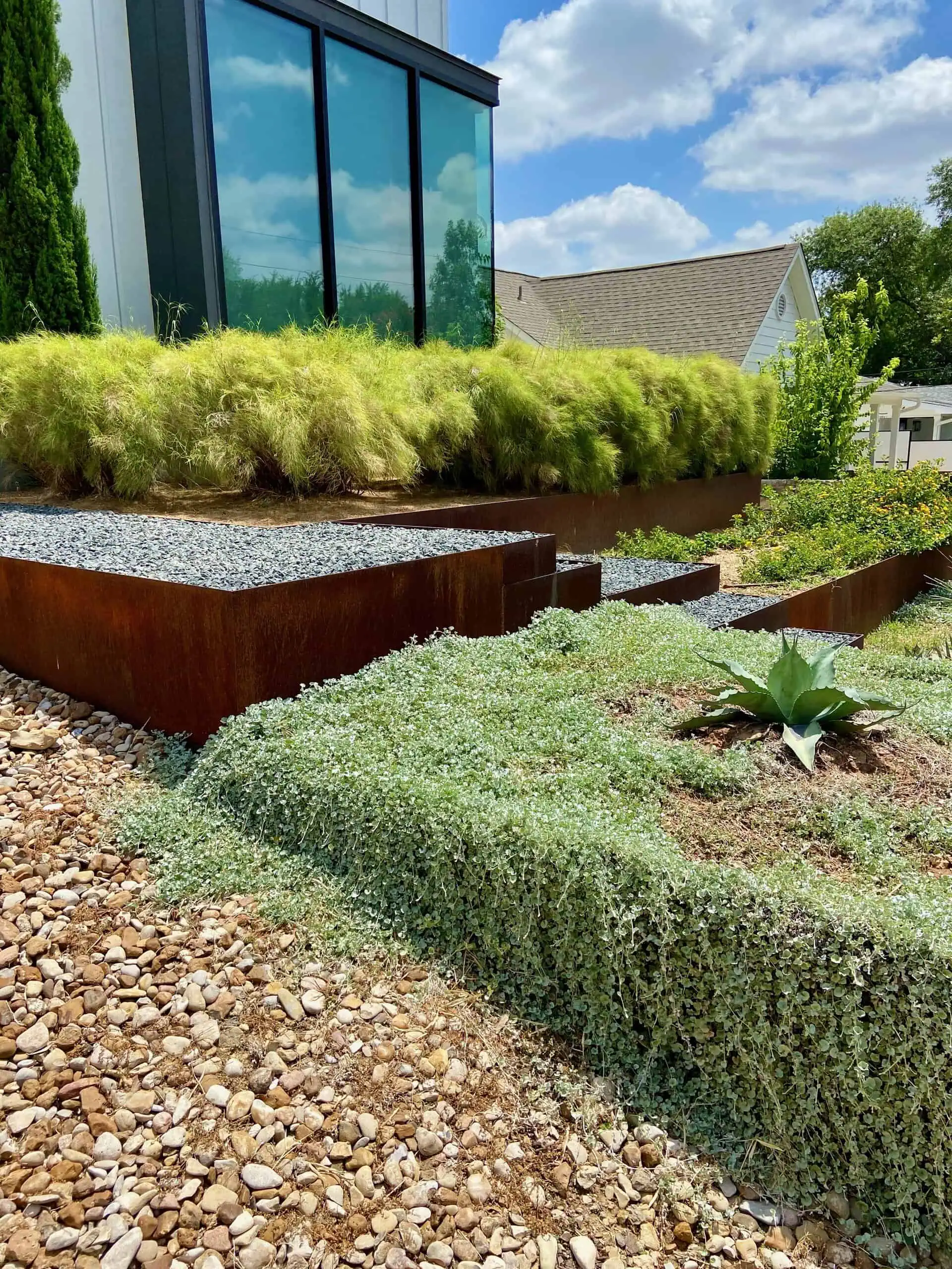 Cedar Park landscaping