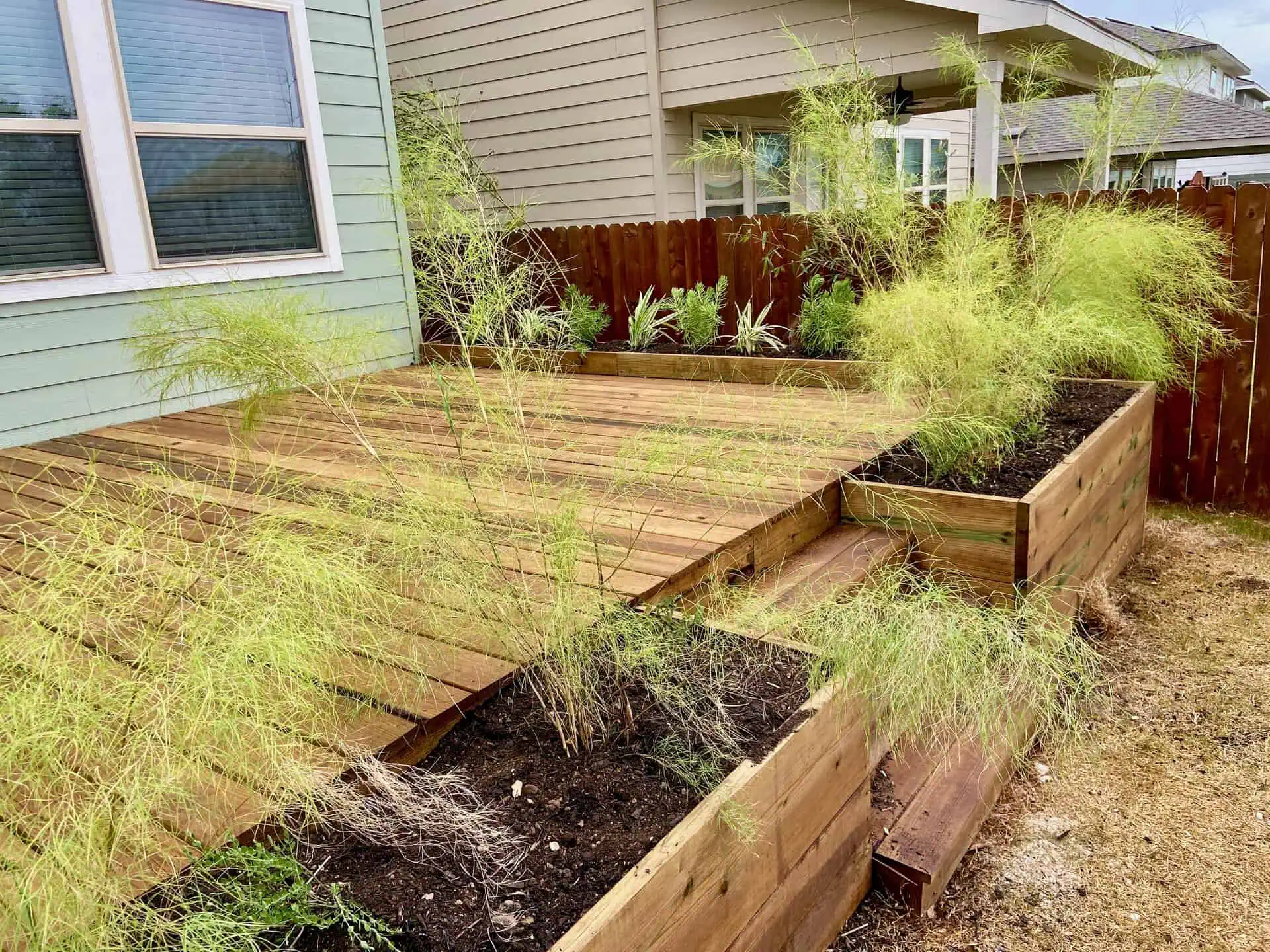 Cedar Park landscaping