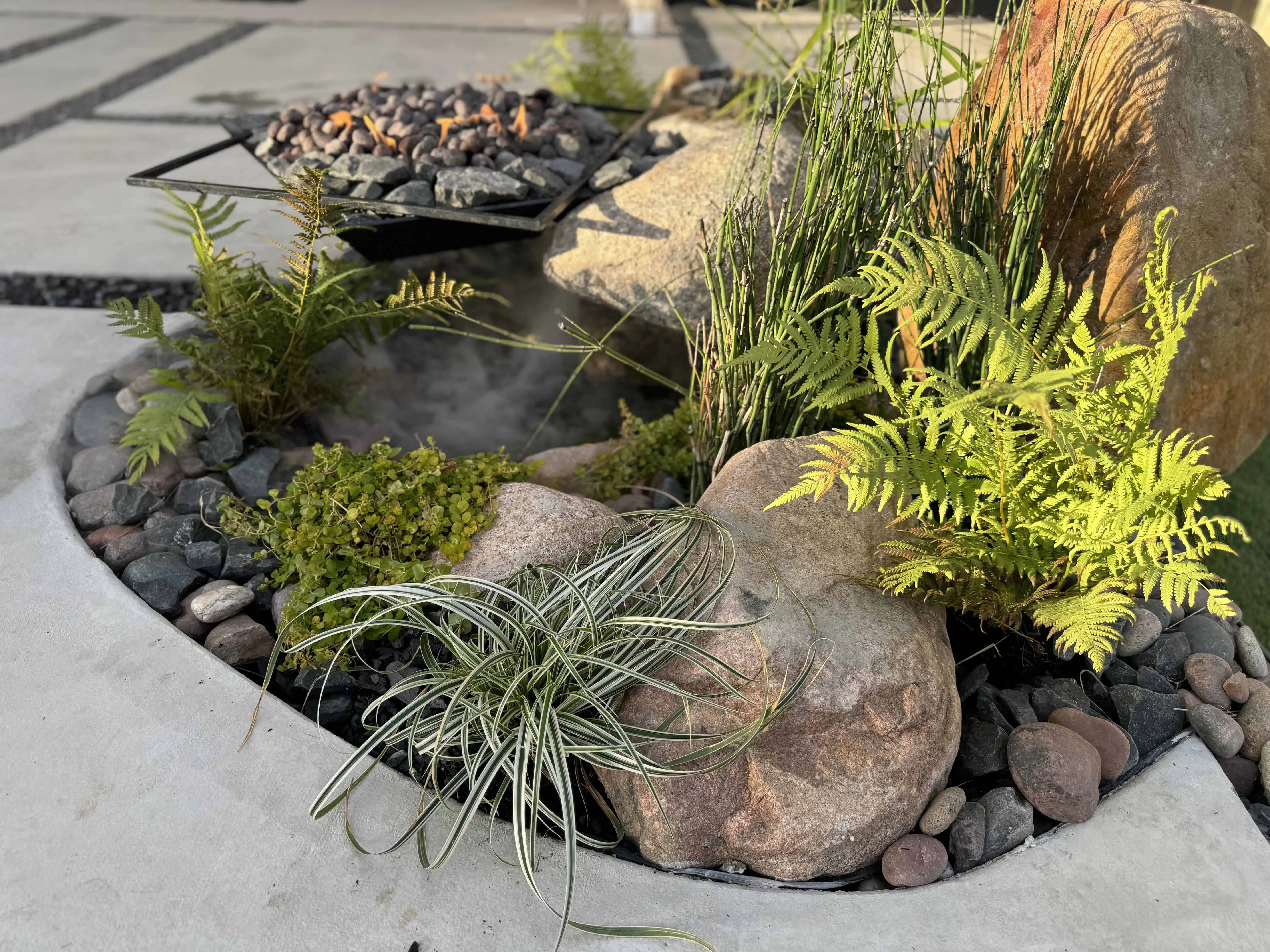 Boulder water fountain with River Fern, Creeping Jenny, and Silver Pony Foot — Pflugerville TX