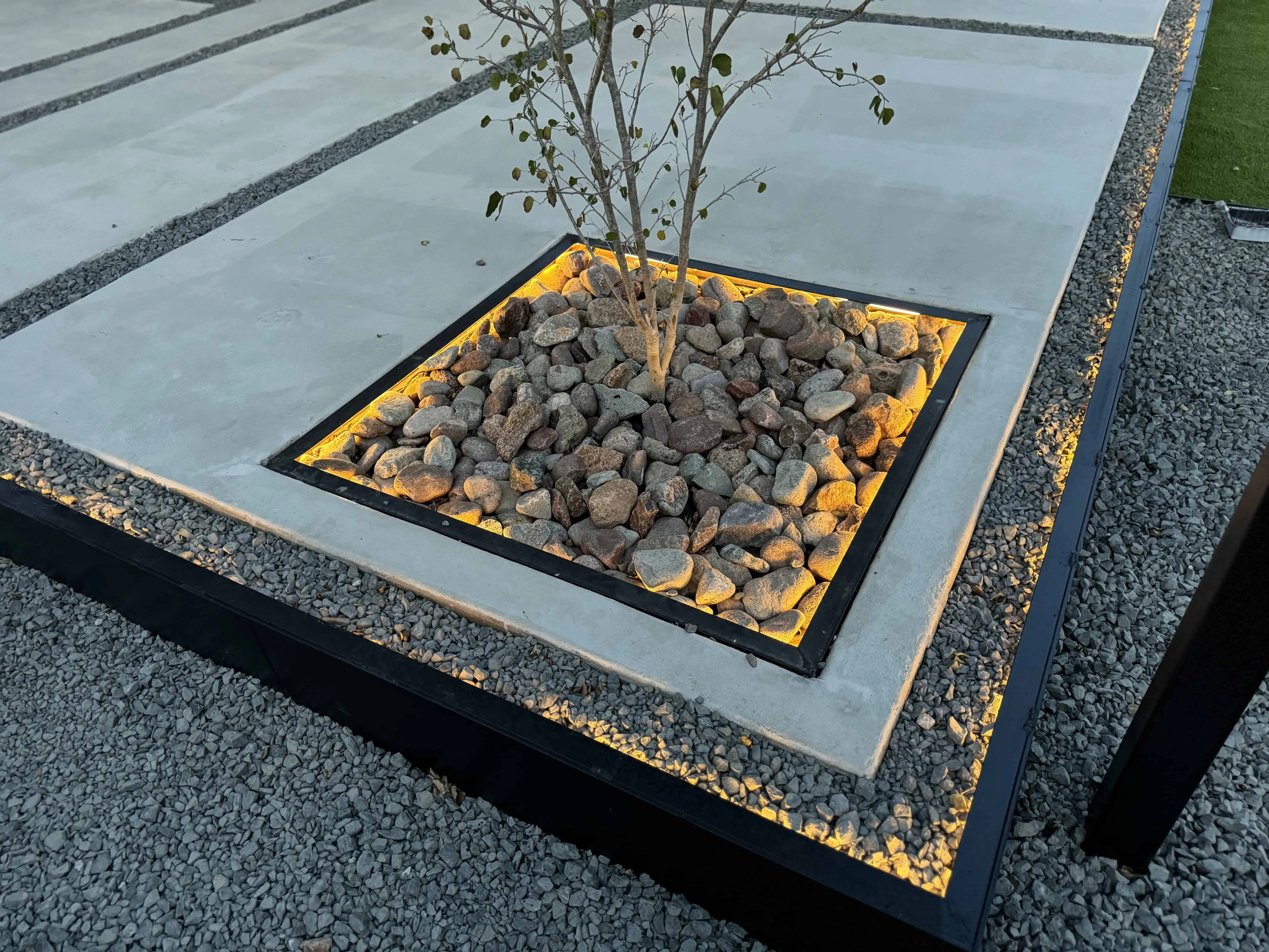Anacacho Orchid Tree in COB-lit steel-framed planter with river rock — Pflugerville TX