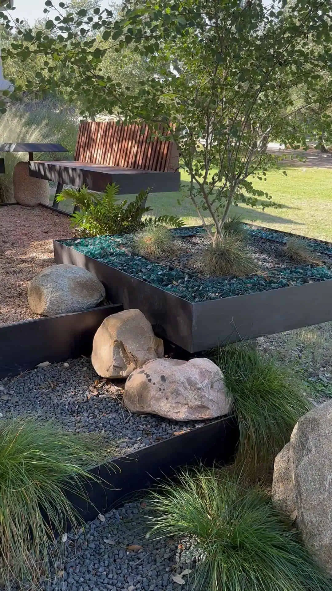 Cantilevered steel planter with turquoise glass and Anacacho Orchid Tree — Circle C Austin TX