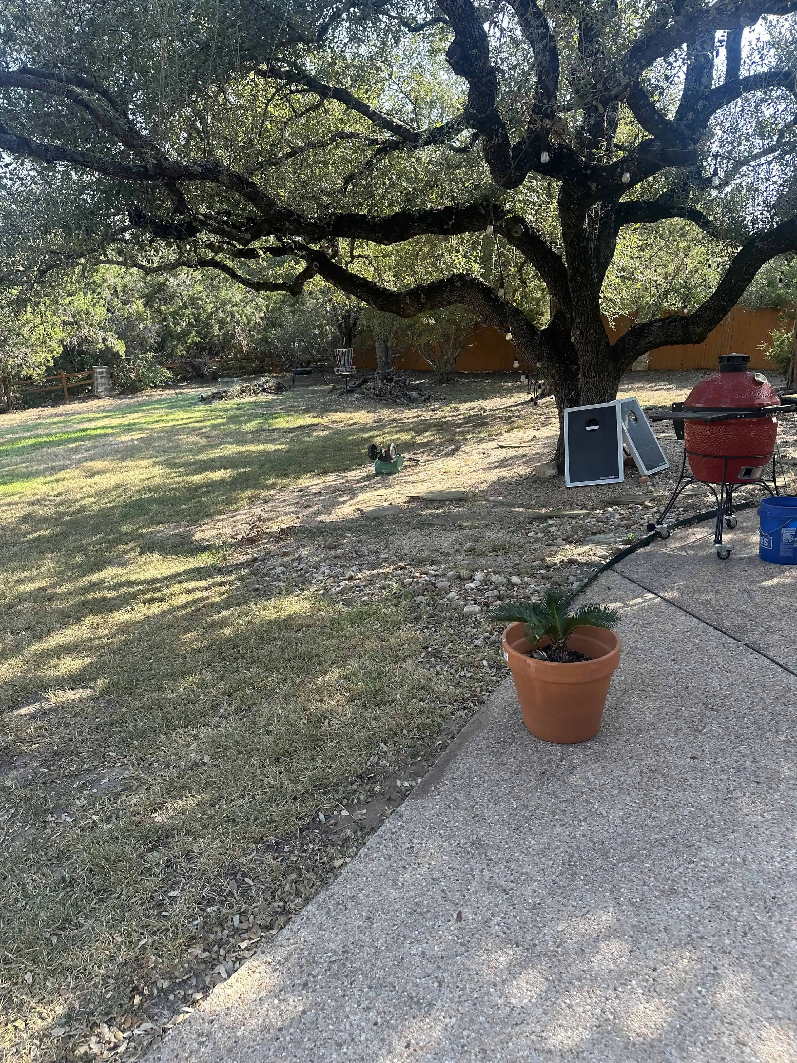 Blazyk before — bare yard with live oak tree — Circle C Austin TX