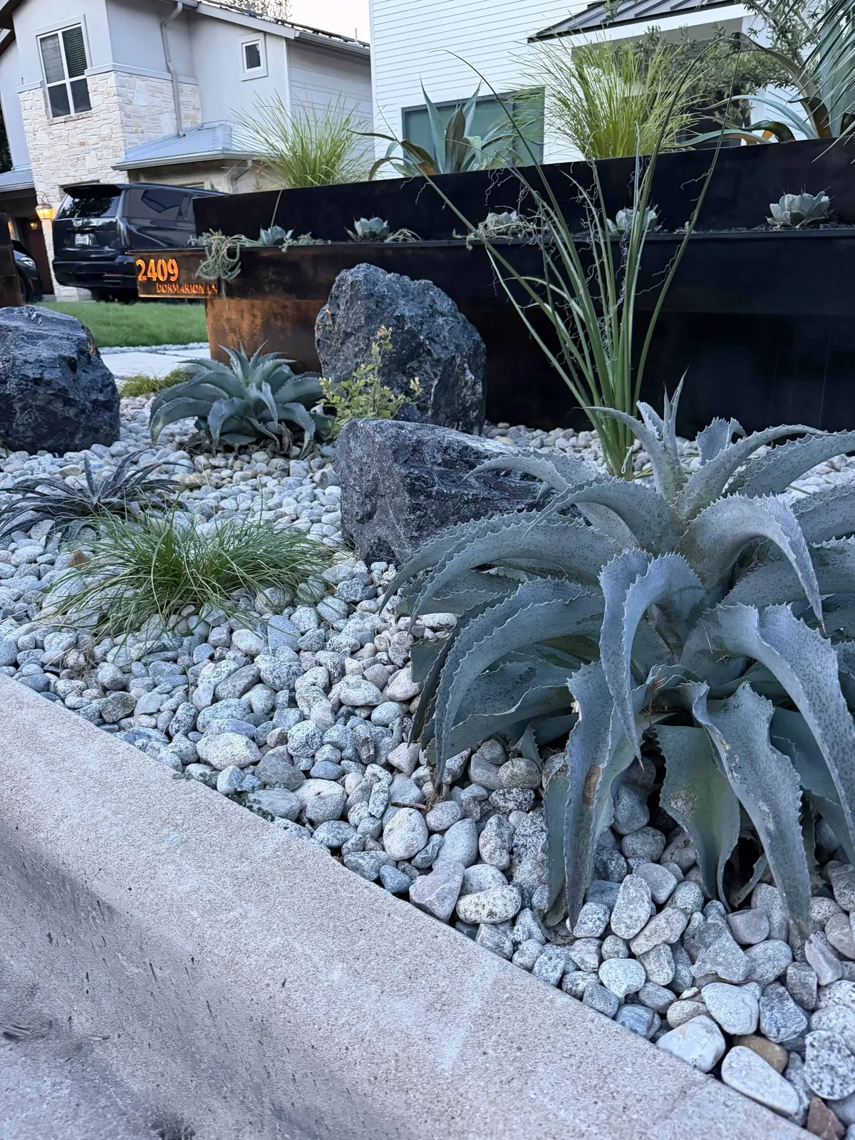 Front yard at dusk — boulders, agave, native planting, CNC sign glowing in background — Tarrytown Austin TX