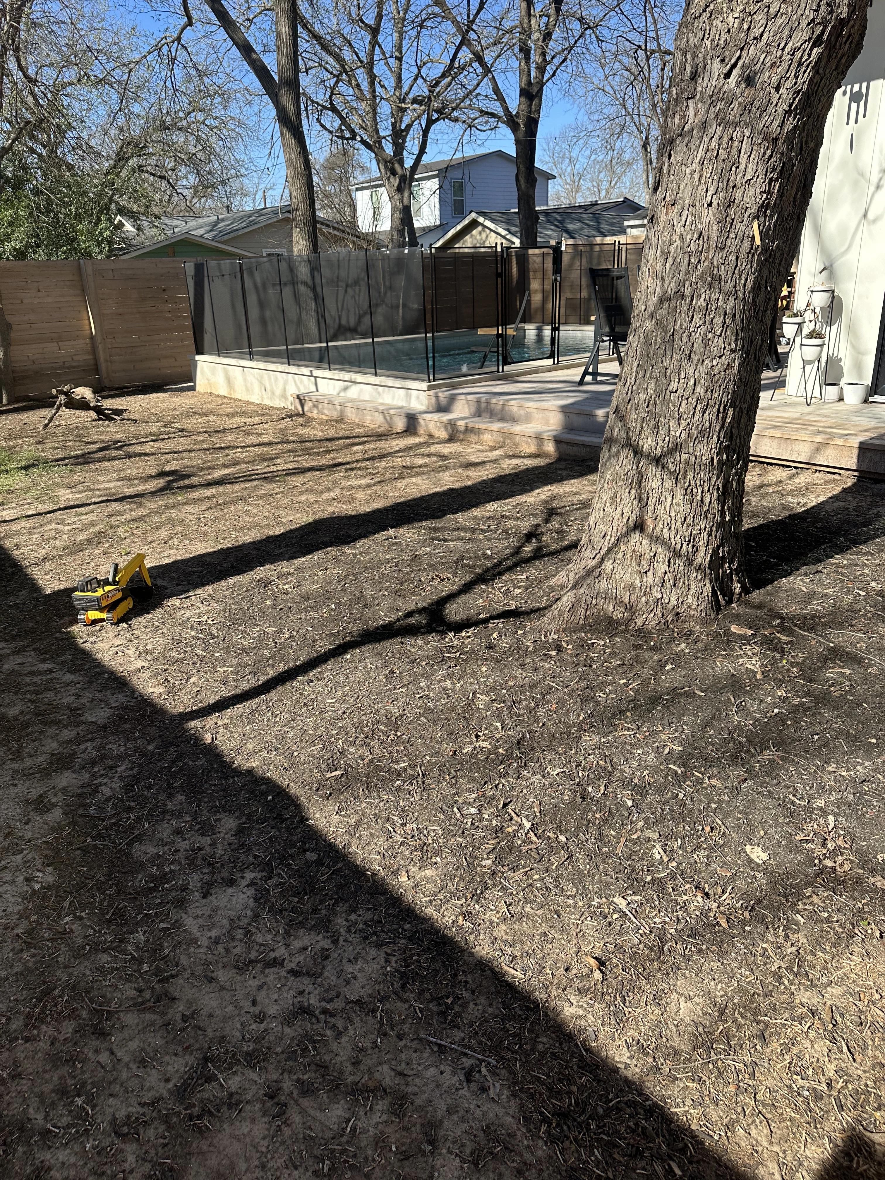 Madison before — bare yard, no grade, no planting — Austin TX